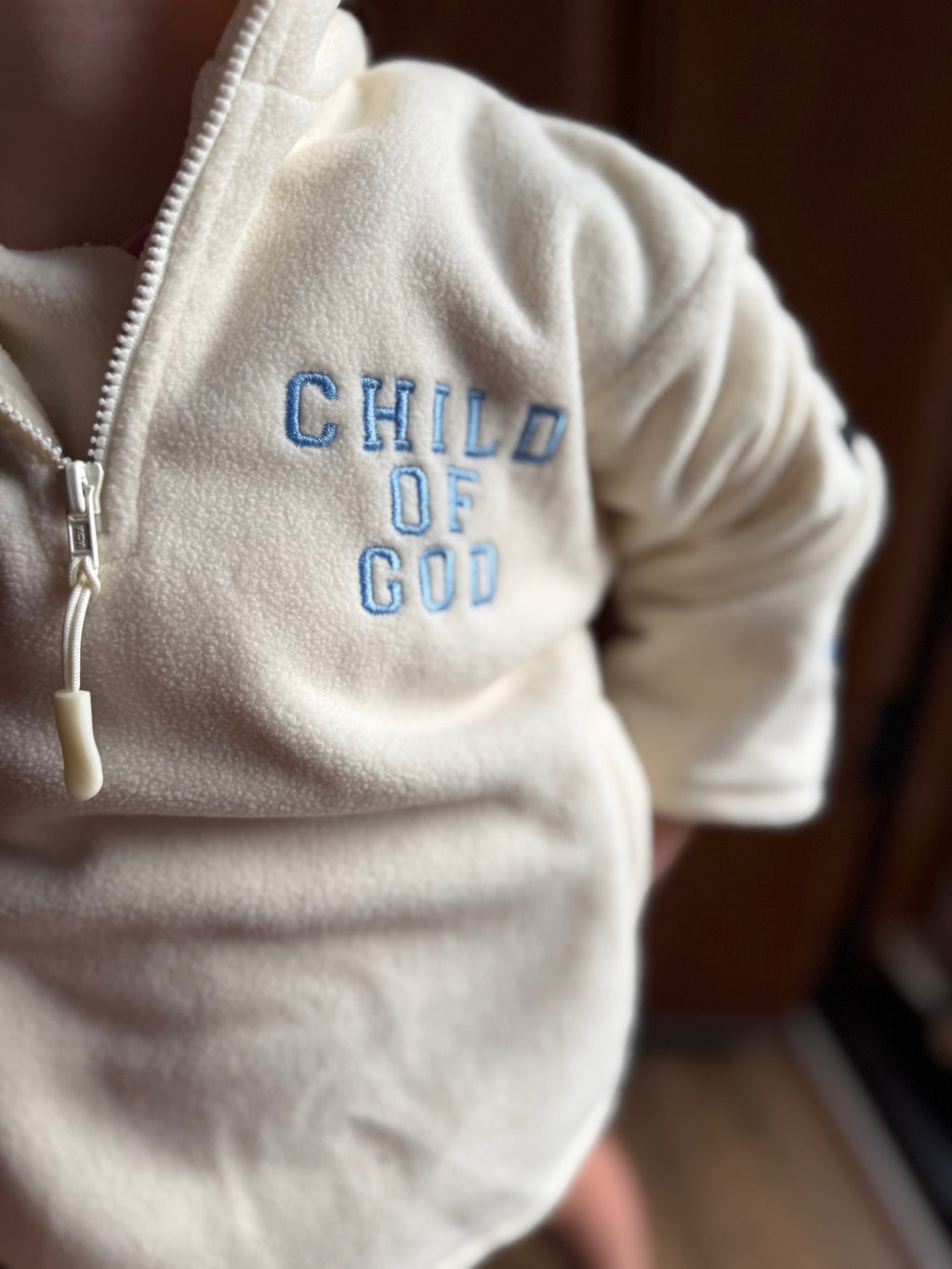 Walking in Color Pullover